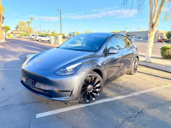 TESLA MODEL Y 2022 7SAYGDEF4NF456520 image